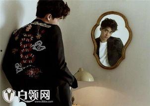 李易峰完整版爆料视频,揭秘明星幕后生活与心路历程 第1张 李易峰完整版爆料视频,揭秘明星幕后生活与心路历程 第1张